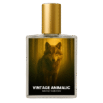 Papillon Salome inspired perfume India