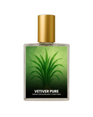 Frederic Malle Vetiver Extraordinaire inspired perfume India