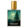 Bleu de Chanel inspired perfume India – Marine Cedar by Code Indra