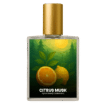 Versace Dylan Blue inspired perfume India – Citrus Musk by Code Indra