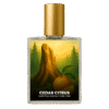 Gucci Guilty Pour Homme inspired perfume India – Cedar Citrus by Code Indra