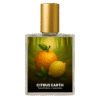 Terre d'Hermes inspired perfume India – Citrus Earth by Code Indra