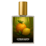 Terre d'Hermes inspired perfume India – Citrus Earth by Code Indra