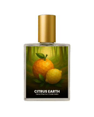 Terre d'Hermes inspired perfume India – Citrus Earth by Code Indra