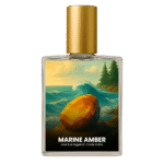 Paco Rabanne Invictus Legend inspired perfume India – Marine Amber by Code Indra