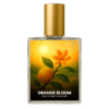 Hugo Boss Orange inspired perfume India – Orange Bloom