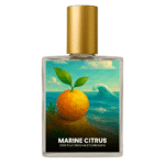Armani Acqua di Giò inspired perfume India – Marine Citrus