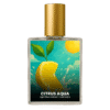 Dolce & Gabbana Light Blue Intense inspired perfume India – Citrus Aqua