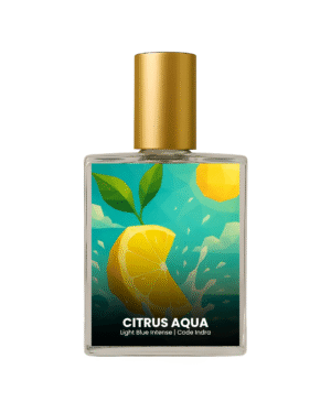 Dolce & Gabbana Light Blue Intense inspired perfume India – Citrus Aqua