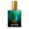 Invictus Victory Elixir inspired perfume India – Aqua Cedar