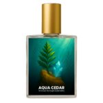Invictus Victory Elixir inspired perfume India – Aqua Cedar