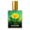 Aqua Universalis inspired perfume India – Citrus Floral