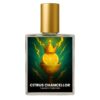 Fragrance World Imperium inspired perfume India – Citrus Chancellor