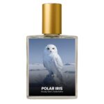 Zoologist Snowy Owl inspired perfume India – Polar Iris by Code Indra