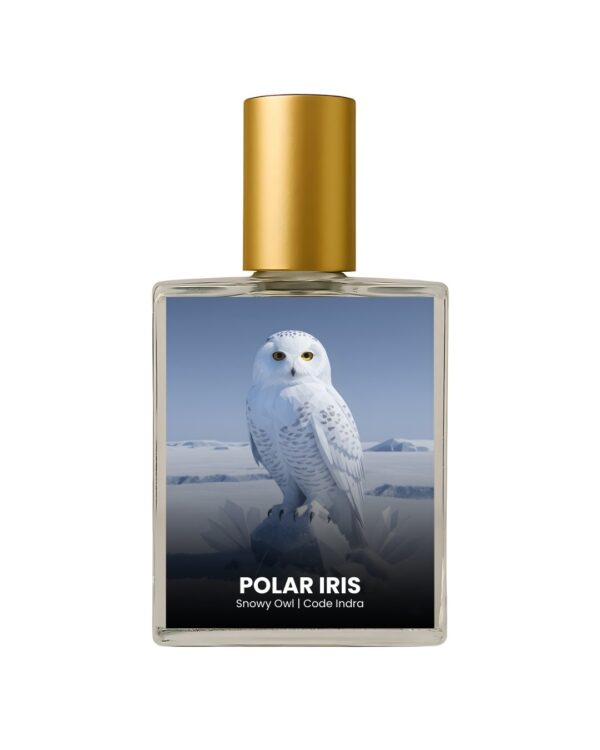 Zoologist Snowy Owl inspired perfume India – Polar Iris by Code Indra