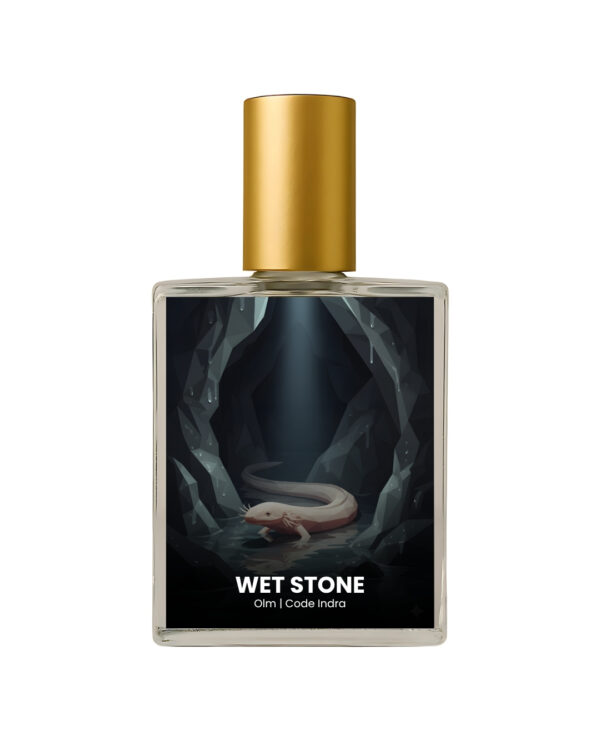 Wet Stone Inspired by Olm