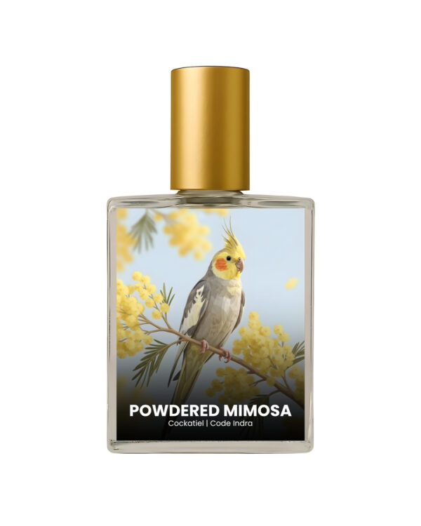 Powdered Mimosa Inspired by Cockatiel
